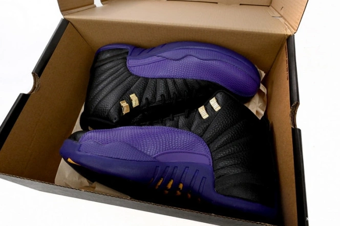 Kick Theory 12 Purple Jordan Air Retro CT8013-057 Field 0630